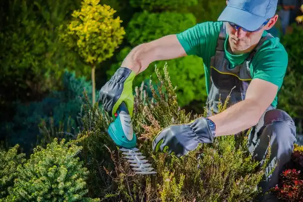 landscaping services DeLisle
